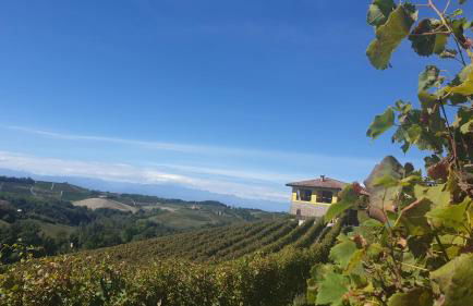 Casa Vacanza Dany House - Foto 1