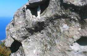 Casa vacanze il Pastore Tedesco - Foto 42