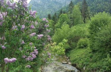 Apartment in den bayerischen Alpen, für Naturliebhaber - Foto 27