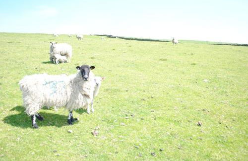 The Barn at Brambles Farm - Foto 50