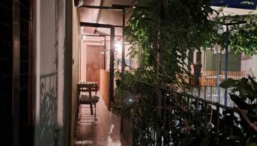 Musa Paradisiaca - Foto 2