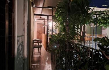 Musa Paradisiaca - Foto 2