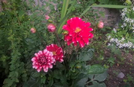 Agriturismo Corvaia - Foto 41