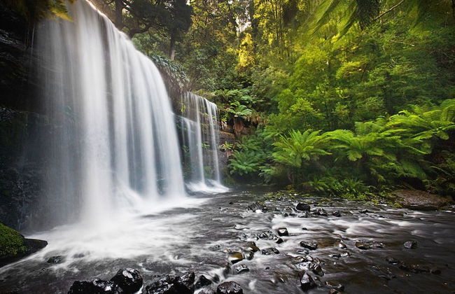 Tyenna River Cottage - Foto 24