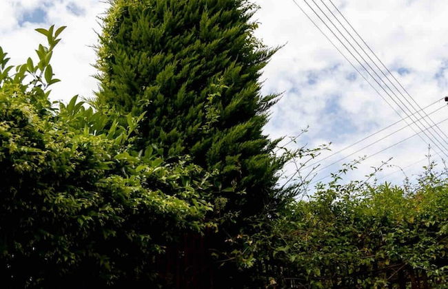 The Garden House at Alimos - Foto 39