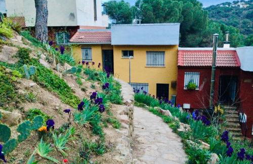 La casa del pantano de San Juan - Foto 6