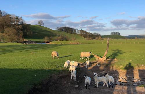 Heart Of Hawes Holiday Cottage - Foto 33