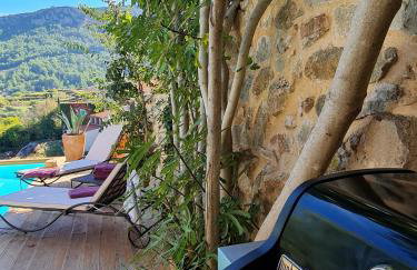 Dvor Pitve Villas - Photo 25