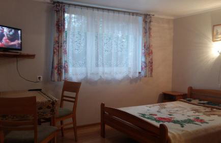 Agroturystyka Pod Klonem - Foto 34