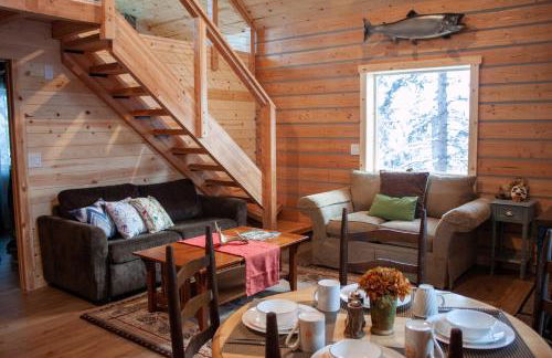 Denali Wild Stay - Redfox Cabin, Free Wifi, private, sleep 6 - Foto 11