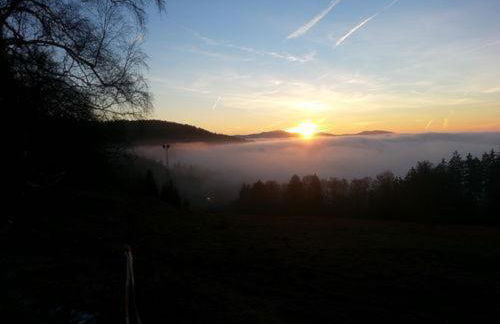Ferienhaus Klingenbrunn - Foto 42