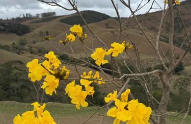 Pousada Renaissance Chalés - Foto 78