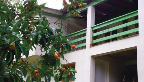 Nice Apartment In Sagone With Kitchen - Foto 4