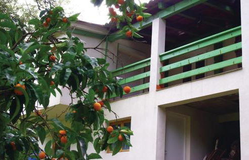 Nice Apartment In Sagone With Kitchen - Foto 4