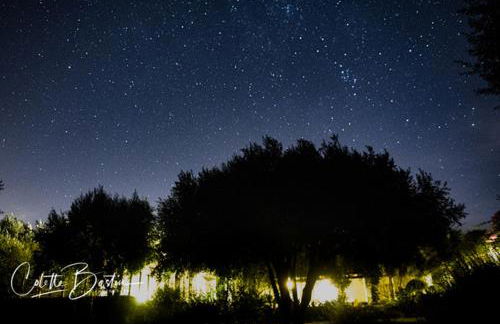 Finca Meerlust - Las Ballenas - Foto 36