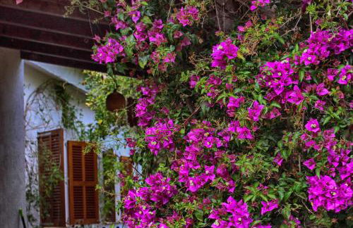 Chalet Tres Mares, Cala Millor - Foto 4