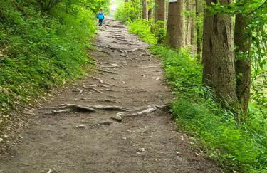 Ferienwohnung Mosel Hunsrück - Foto 21