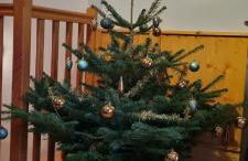 ANNO 1698 Gîtes et Chambres d'Hôtes - Foto 29