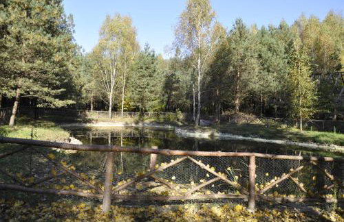 Leśna Polana - Foto 30