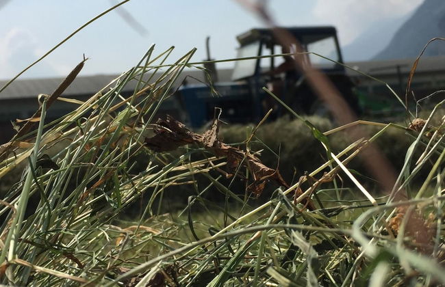 Agriturismo La Grange - Foto 37