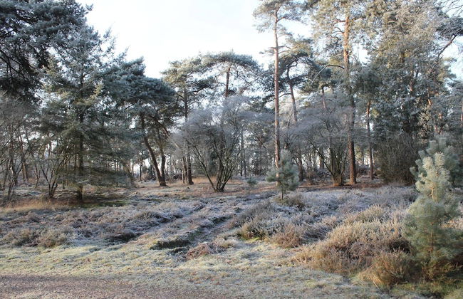 Cosy Holiday Home in Maarheeze With Verandah - Foto 68