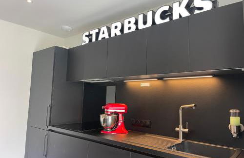 Colmar Appartement terrasse 10min centre ville - Foto 3