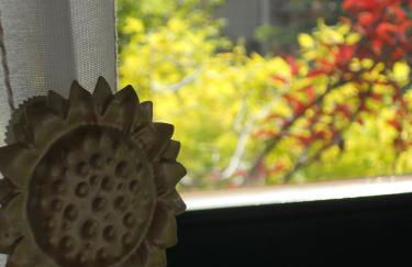 Haus am See in Kleinzerlang - Foto 25