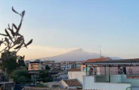 Curia Apartment - Foto 35