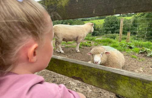 Dartmoor Eco-Pod - Oak Tree Lane - Foto 42
