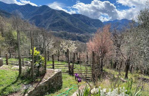 Le Soleil de Flaut Beautiful studio house Nature - Foto 26