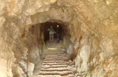 Le Mieukerien - Réserve africaine 15 mn - Plage 200 m - Foto 28