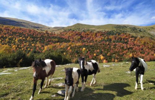 Apartamentos Casa Modesto - Foto 34