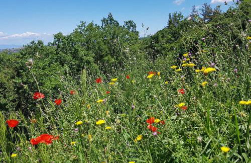 Fontana Luxury Villa Salakos With Pool Near Beach - Foto 50