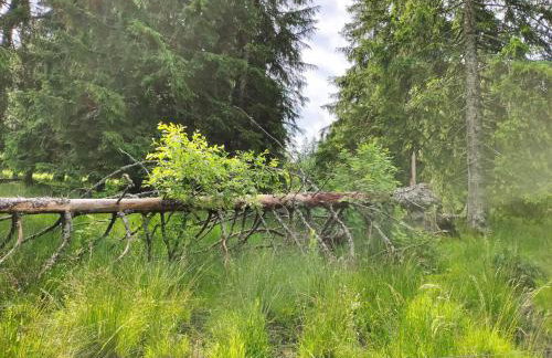 Biobetrieb Lippenhof - Photo 24