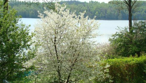 Letnisko Zielony Zakątek - Foto 3, Garden