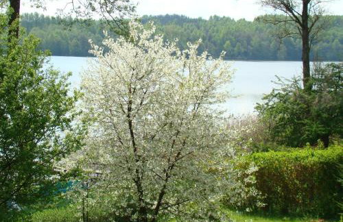 Letnisko Zielony Zakątek - Foto 3