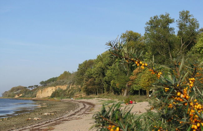 Holiday Home in Wohlenberger Near the Beach - Foto 31