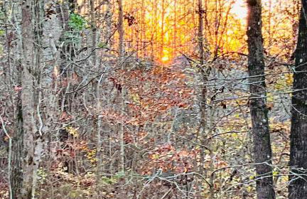 Turkey Creek Cabin Rentals #2 at Tims Ford lake - Foto 60