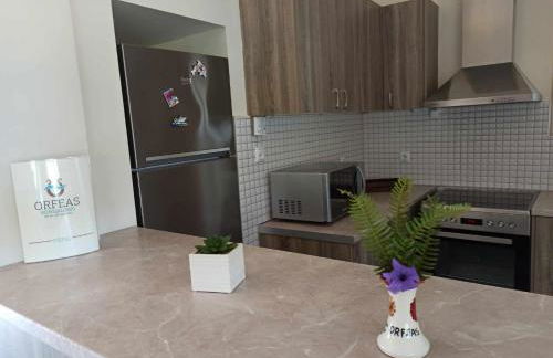 Orfeas Studios Molivos - Photo 72