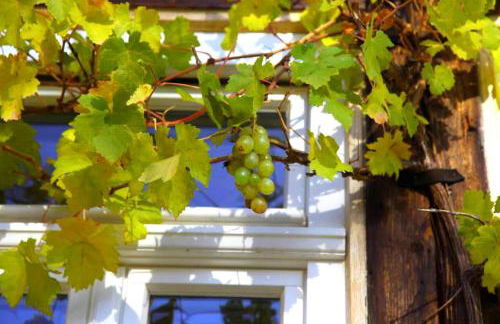 Historisches Fachwerk-Ferienhaus mit Weinkeller und Garten, gute Lage - Photo 9