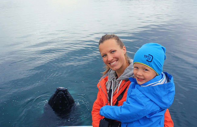 Árskógssandur Whale Watching - Photo 4