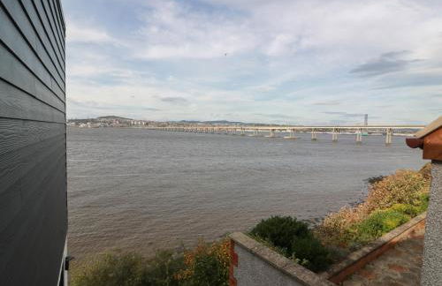 Lazy Bulldog - Foto 19