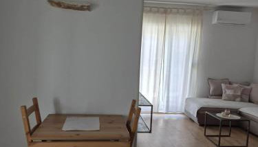 Dalmato - Foto 3