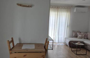 Dalmato - Photo 3