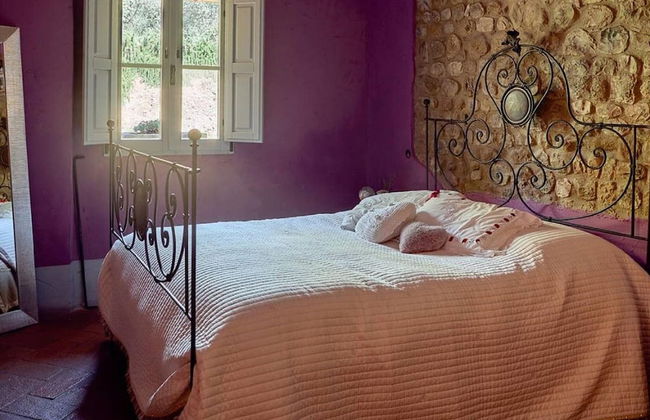 Villa in Montelupo With Private Pool - Foto 6