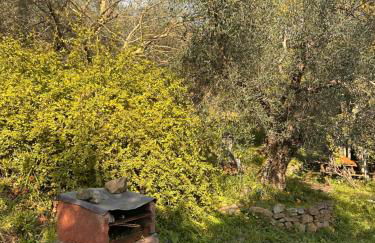 Podere Val di Vico - Foto 19