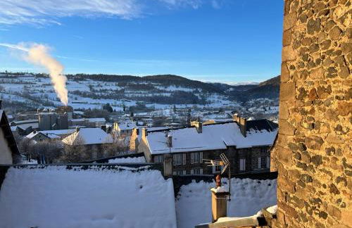 grand studio douillet et lumineux vue sur la vallée - Photo 2