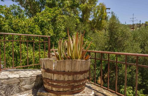 PALIAMA BY THE RIVER - Foto 33