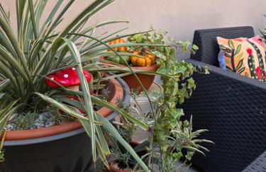 Appartamento Teodorico Ravenna - Foto 29