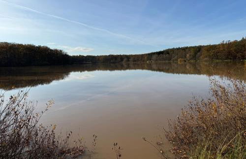 Ferienhaus Reuthsee Natur & Komfort & hundefreundlicher Urlaub in der Rhön - Foto 30